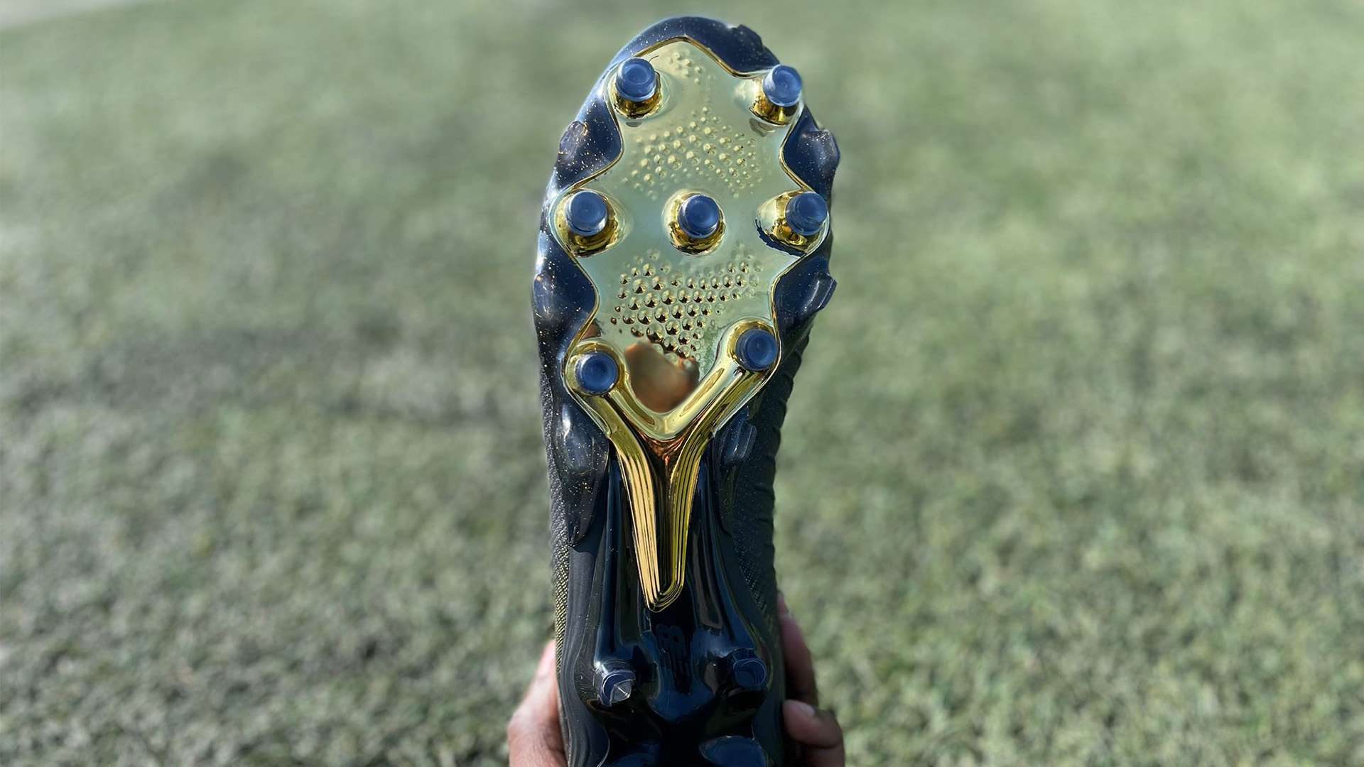 惋惜的莫过 惋惜的莫过